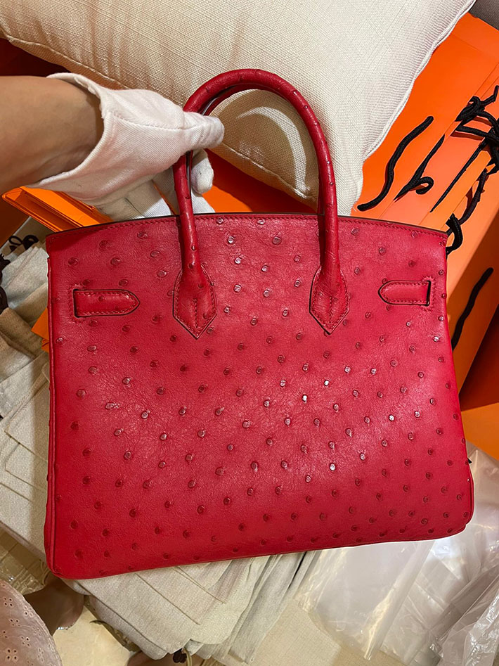 最高級HERMESスーパーコピー エルメスバーキン30コピー バーキン30 ルージュヴィフ オーストリッチ ゴールド金具 新品 2024W1289 - 画像 (6)