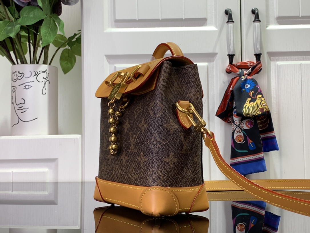 ルイヴィトン ホーボーバッグ 新作 Louis Vuitton ナノ・スティーマー 15 ダークブラウン M11630 モノグラム・ダスト キャンバス ゴールド金具 - 画像 (9)