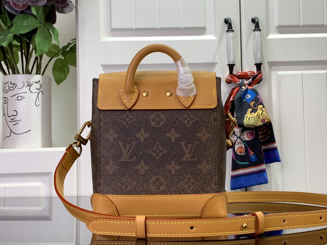 ルイヴィトン ホーボーバッグ 新作 Louis Vuitton ナノ・スティーマー 15 ダークブラウン M11630 モノグラム・ダスト キャンバス ゴールド金具 - 画像 (8)