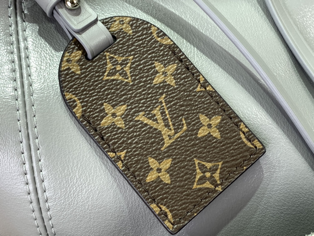 ルイヴィトン ホーボーバッグ 新作 Louis Vuitton キャリーオール・ダーク MM 2024秋冬新作 トリアノン グレー M12583 ラムレザー シルバー金具 - 画像 (6)