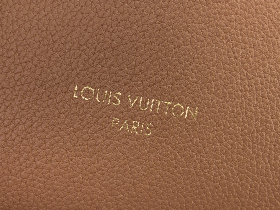 ルイヴィトン ホーボーバッグ 新作 Louis Vuitton ロウキー・ホーボー PM コニャック M25354 カーフレザー ゴールド金具 - 画像 (6)
