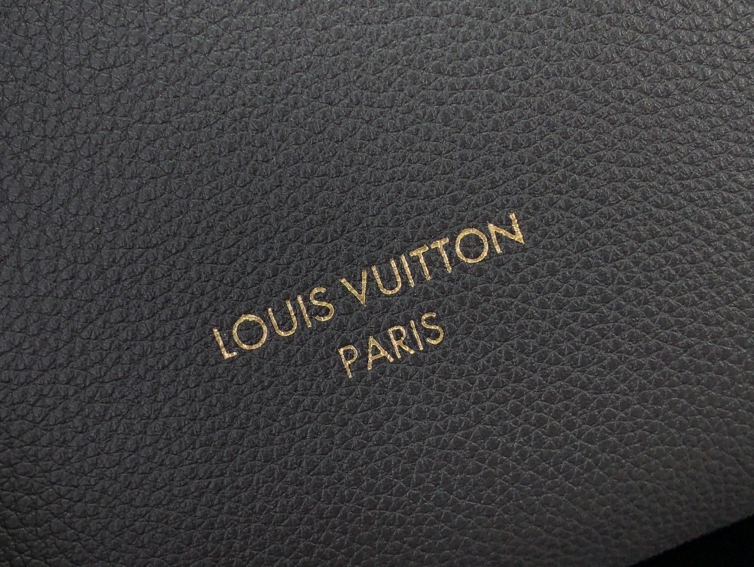 ルイヴィトン ホーボーバッグ 新作 Louis Vuitton ロウキー・ホーボー PM ブラック M25352 カーフレザー ゴールド金具 - 画像 (4)