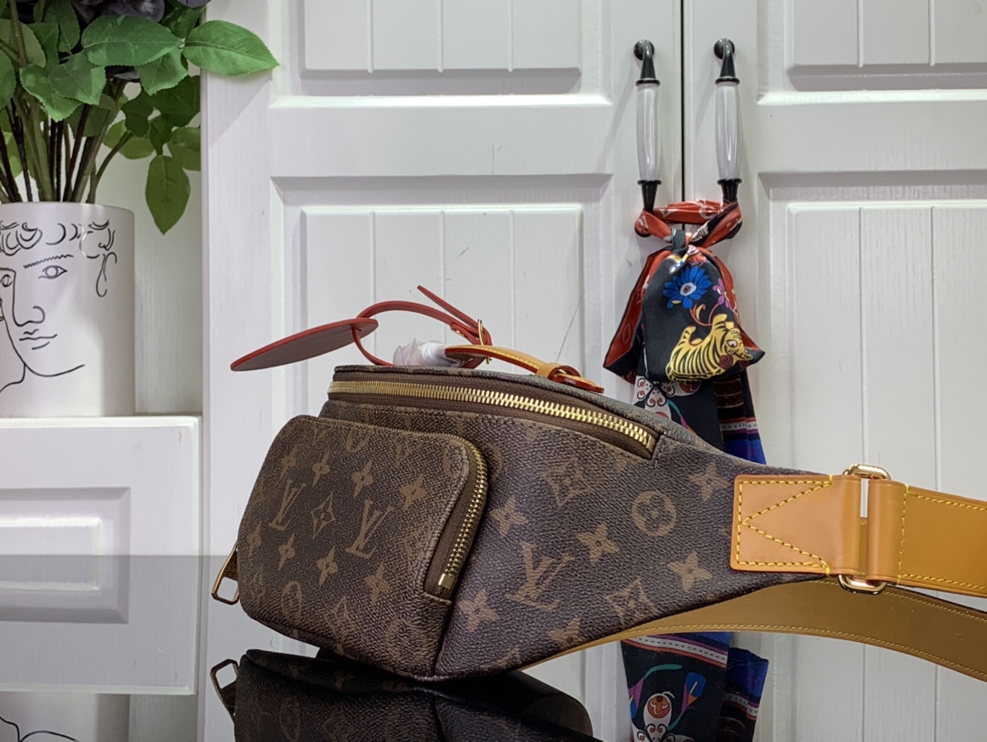 ルイヴィトン バムバッグ 新作 Louis Vuitton ラッシュ・バムバッグ ダークブラウン M11539 モノグラム・ダスト キャンバス ゴールド金具 - 画像 (9)