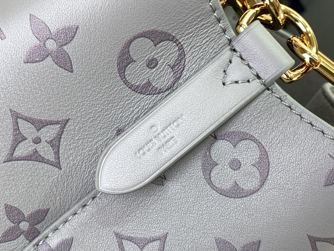 ルイヴィトン ホーボーバッグ 新作 Louis Vuitton ネオノエ BB 2024秋冬新作 トリアノン グレー M12749 カーフレザー ゴールド金具 - 画像 (6)