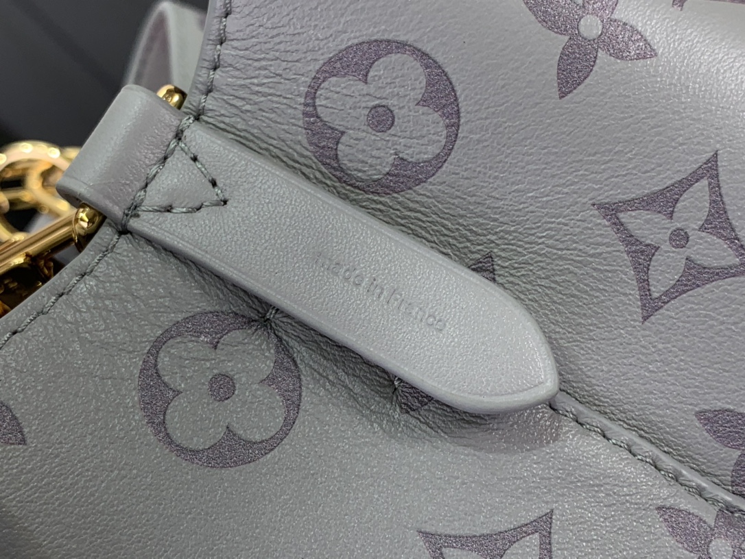 ルイヴィトン ホーボーバッグ 新作 Louis Vuitton ネオノエ BB 2024秋冬新作 トリアノン グレー M12749 カーフレザー ゴールド金具 - 画像 (5)