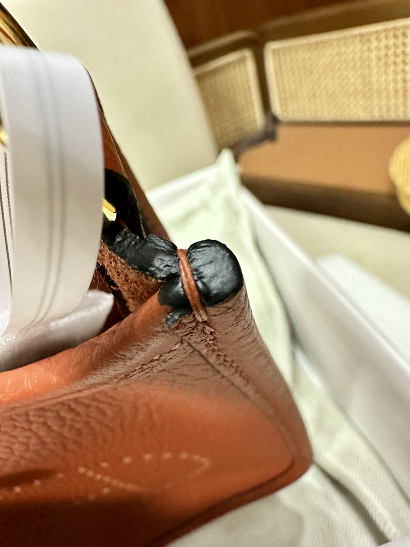 最高級エルメススーパーコピー エヴリンTPMコピー エヴリン 16 TPM キュイーブル トリヨンクレマンス ゴールド金具 - 画像 (5)