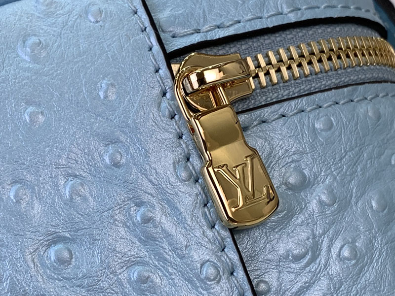 ルイヴィトン ポーチ 新作 Vanity Chain Pouch スカイブルー N85806 Ostrich leather ゴールド金具 ミニバッグ 人気 - 画像 (5)