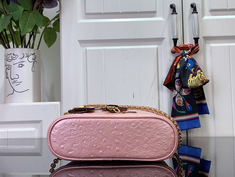 ルイヴィトン ポーチ 新作 Vanity Chain Pouch ピンク N85820 Ostrich leather ゴールド金具 ミニバッグ 人気 - 画像 (7)