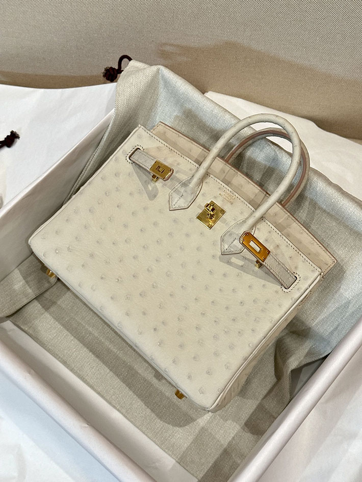 最高級エルメススーパーコピー バーキン25コピー バーキン25 ベトン オーストリッチ ゴールド金具 2412122 - 画像 (15)