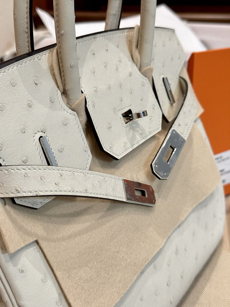 バーキン30 オーストリッチ 定価 エルメス HERMES バーキン30 パーシュマン オーストリッチ シルバー金具 2412851 - 画像 (9)