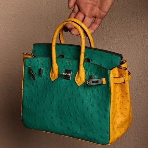 オーストリッチ バーキン25 定価