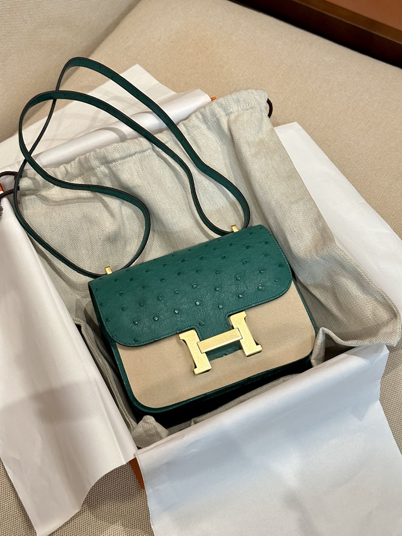エルメス 2025 値上げ エルメス コンスタンス3 ミニ ヴェールヴェルティゴ オーストリッチ ゴールド金具 2412913 - 画像 (8)