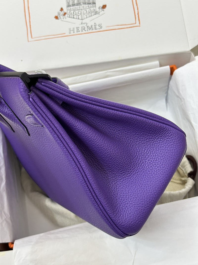 人気色 H品 エルメス バーキン25 クロッカス トゴ シルバー金具 2517840 エルメス ハンドバッグ 種類 - 画像 (8)