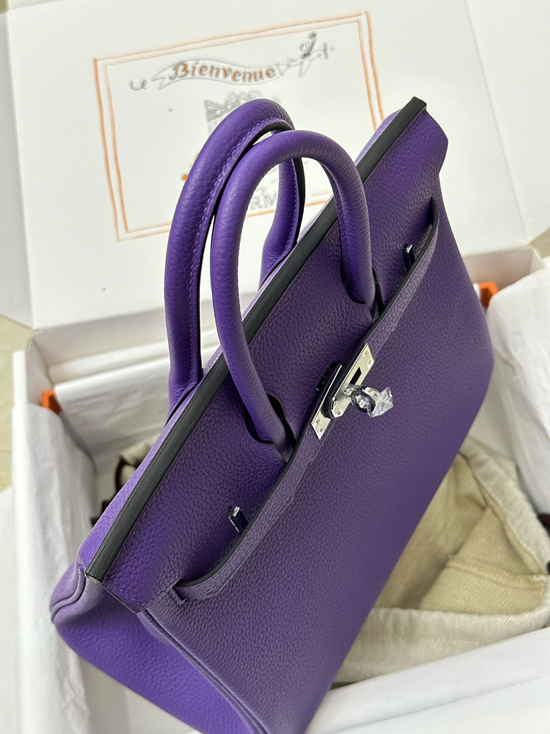 人気色 H品 エルメス バーキン25 クロッカス トゴ シルバー金具 2517840 エルメス ハンドバッグ 種類 - 画像 (7)