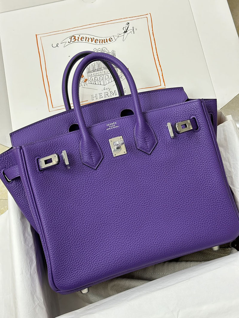 人気色 H品 エルメス バーキン25 クロッカス トゴ シルバー金具 2517840 エルメス ハンドバッグ 種類 - 画像 (3)