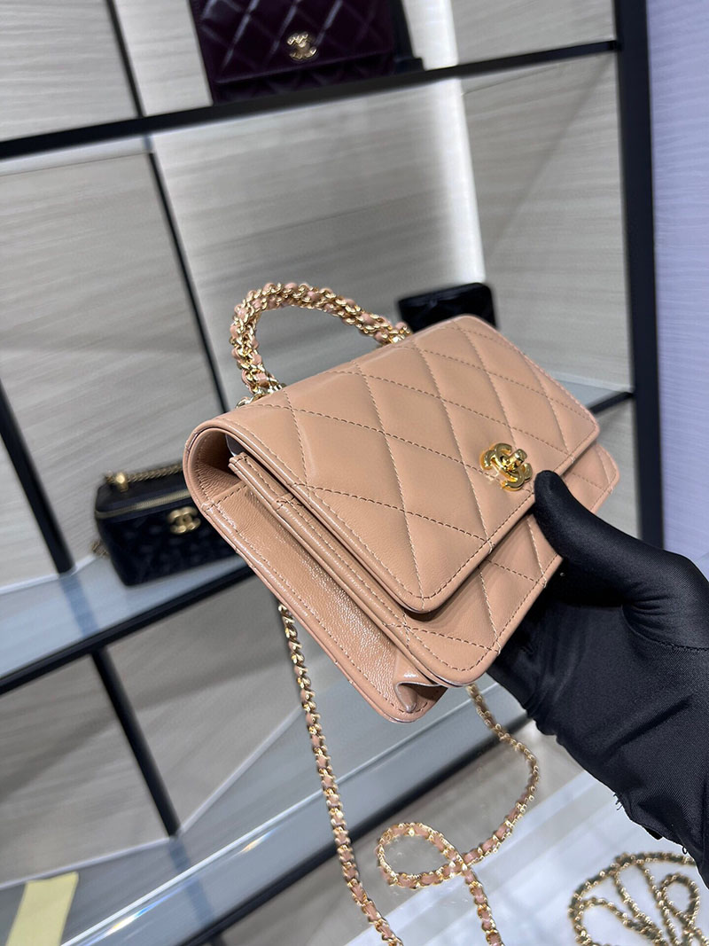 シャネル 新作バッグ 超N品 CHANEL チェーンウォレット シャイニー ラムスキン モカベージュ AP4166 B17675 NZG77 - 画像 (6)
