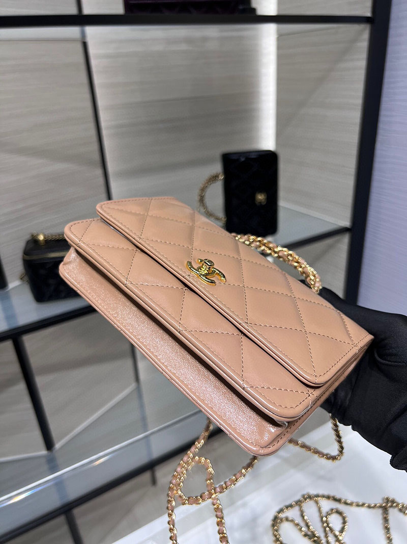 シャネル 新作バッグ 超N品 CHANEL チェーンウォレット シャイニー ラムスキン モカベージュ AP4166 B17675 NZG77 - 画像 (5)