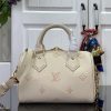 LOUIS VUITTON スピーディ･バンドリエール20 M14291 エデン ハンドバッグ 超N品 - 画像 (8)