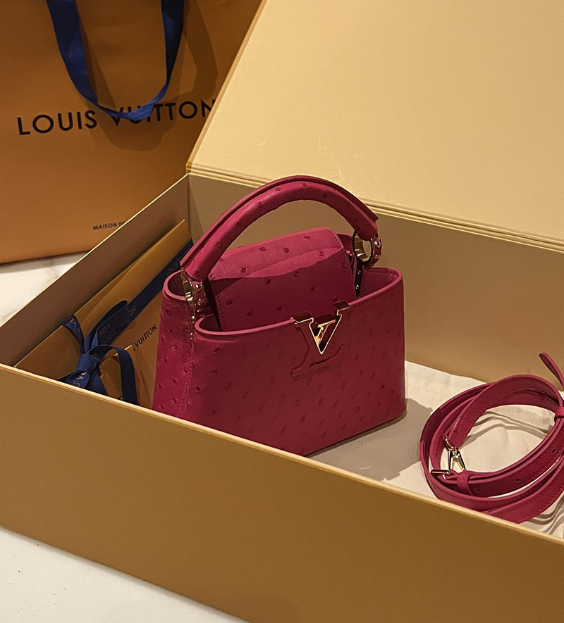 ルイヴィトン アウトレット 店舗 LOUIS VUITTON ハンドバッグ カプシーヌ ミニ lv301905 カプシーヌ ミニ 値段 - 画像 (9)