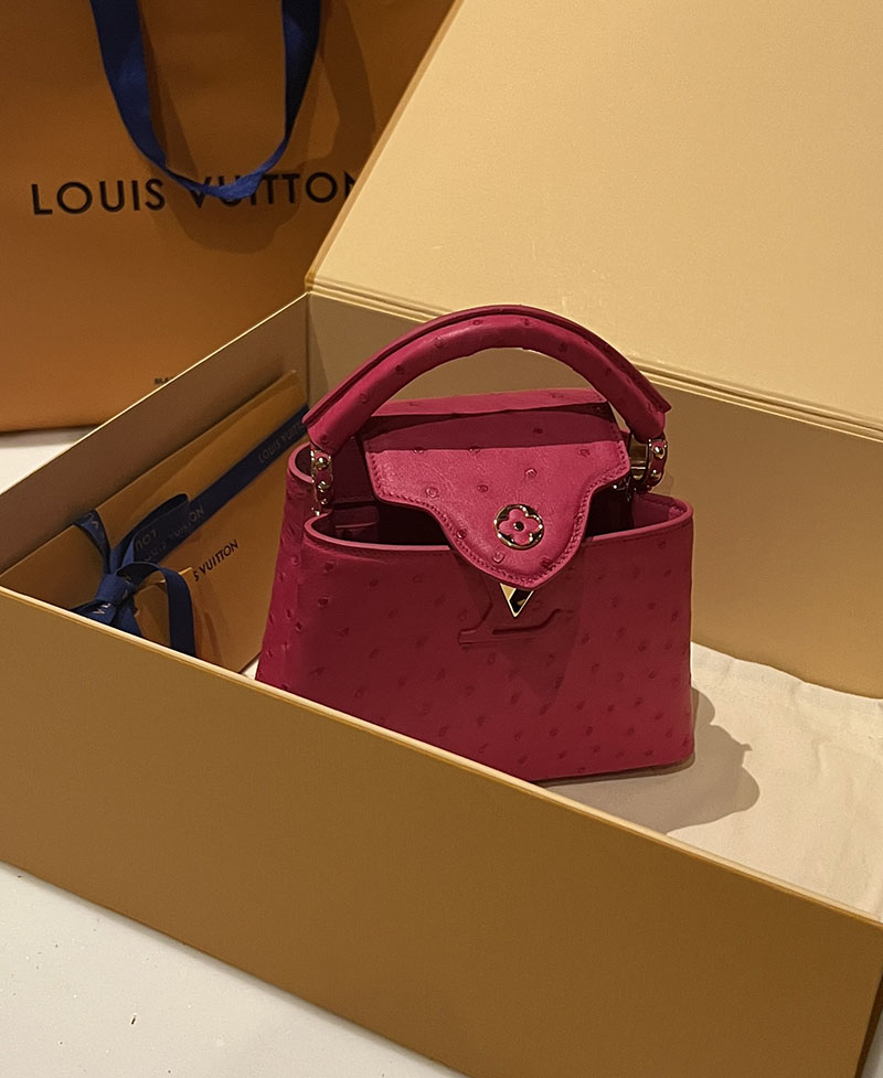 ルイヴィトン アウトレット 店舗 LOUIS VUITTON ハンドバッグ カプシーヌ ミニ lv301905 カプシーヌ ミニ 値段 - 画像 (8)