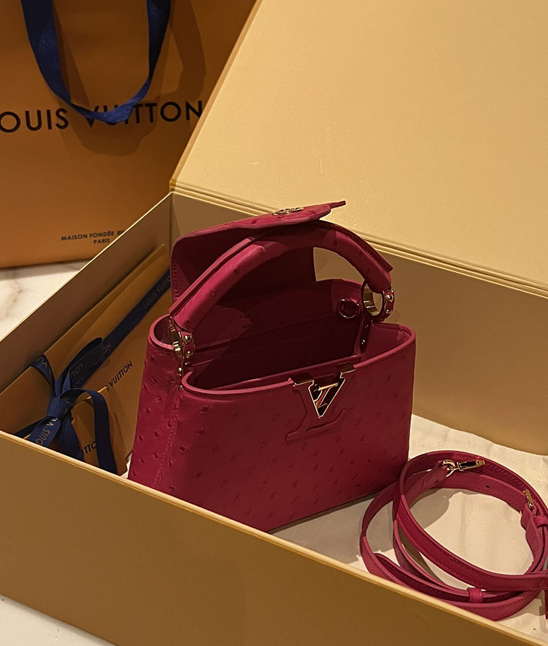 ルイヴィトン アウトレット 店舗 LOUIS VUITTON ハンドバッグ カプシーヌ ミニ lv301905 カプシーヌ ミニ 値段 - 画像 (4)