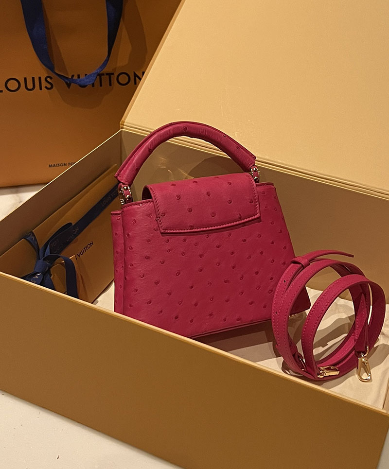 ルイヴィトン アウトレット 店舗 LOUIS VUITTON ハンドバッグ カプシーヌ ミニ lv301905 カプシーヌ ミニ 値段 - 画像 (2)