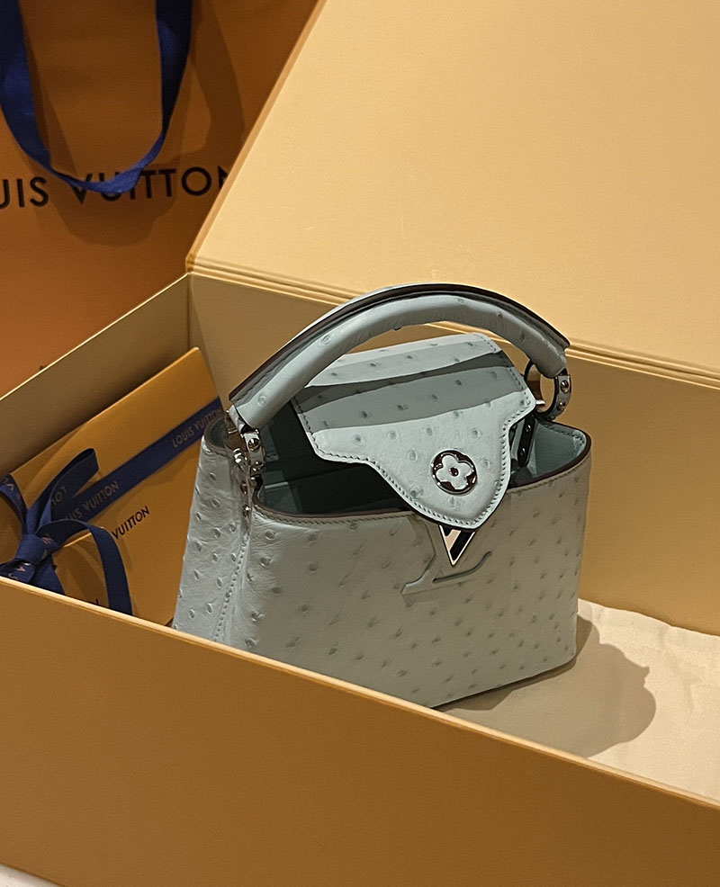 ルイヴィトン アウトレット 店舗 LOUIS VUITTON ハンドバッグ カプシーヌ ミニ lv301906 カプシーヌミニ 使い勝手 - 画像 (8)