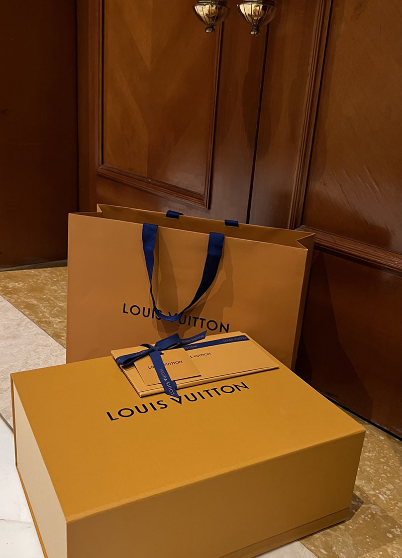 ルイヴィトン アウトレット 店舗 LOUIS VUITTON ハンドバッグ カプシーヌ ミニ lv301906 カプシーヌミニ 使い勝手 - 画像 (6)