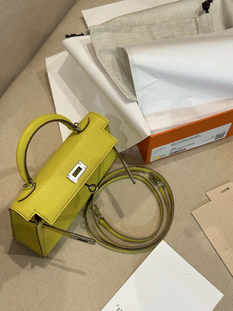 エルメスコピー ミニケリー 定価 HERMES ケリーミニ2 外縫い ライム シェブルミゾル シルバー金具 2524061 - 画像 (10)