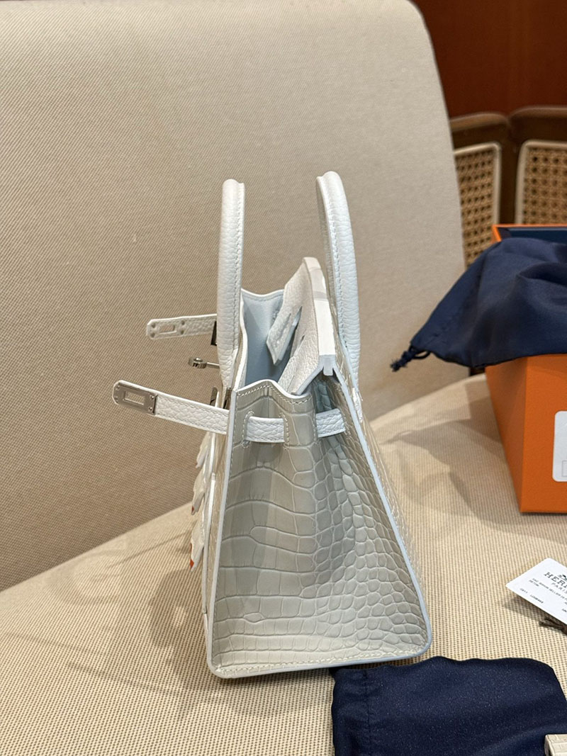 エルメスコピー バーキン20 定価 HERMES バーキン 20 セリエ ベトン トリヨンクレマンス/クロコダイル アリゲーターマット シルバー金具2524128 - 画像 (5)