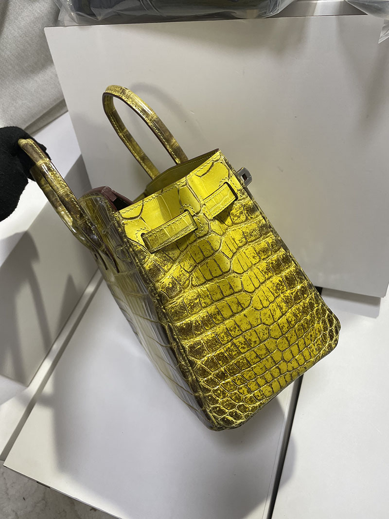 レディース エルメス バッグ HERMES バーキン25 イエロー クロコダイル ニロティカスマット シルバー金具 2526251 バーキン クロコ 定価 - 画像 (6)