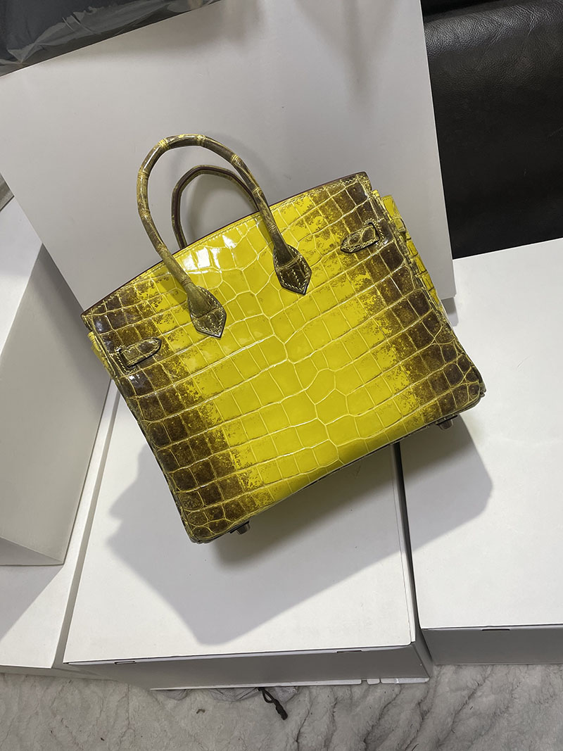 レディース エルメス バッグ HERMES バーキン25 イエロー クロコダイル ニロティカスマット シルバー金具 2526251 バーキン クロコ 定価 - 画像 (5)