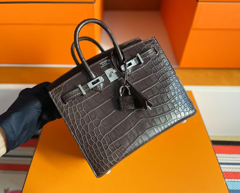 クロコ バッグ ハイブランド HERMES バーキン 20 セリエ グリエレファント クロコダイル アリゲーターマット シルバー金具 2627718 エルメス 新作バッグ - 画像 (7)