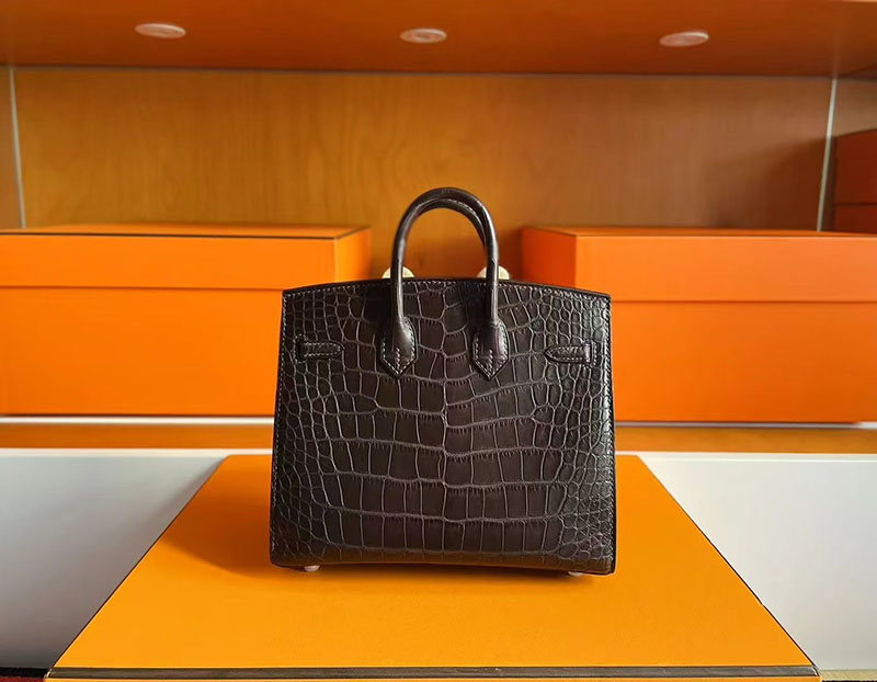 クロコ バッグ ハイブランド HERMES バーキン 20 セリエ グリエレファント クロコダイル アリゲーターマット シルバー金具 2627718 エルメス 新作バッグ - 画像 (2)