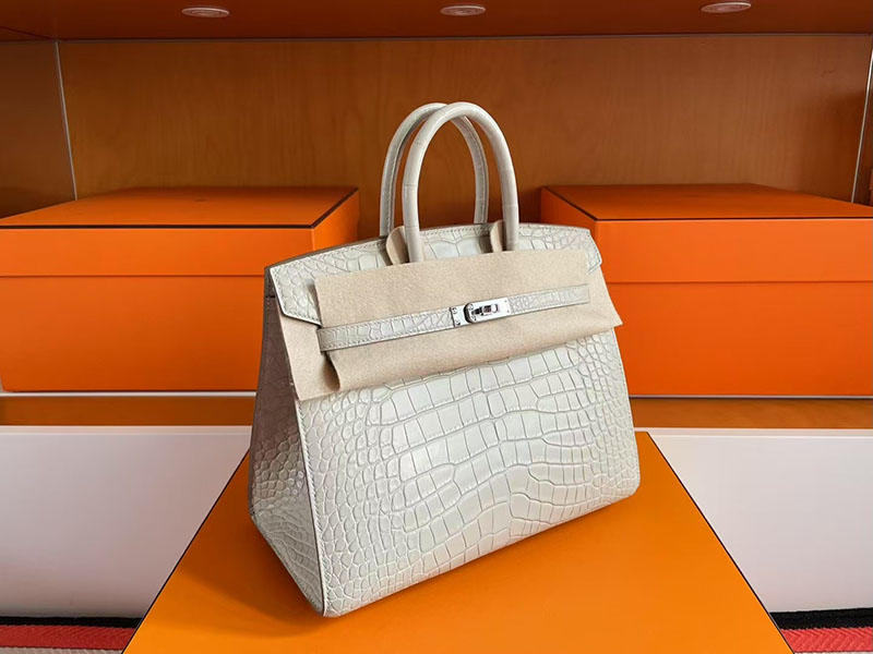 バーキン クロコ 25 HERMES バーキン25 セリエ ベトン クロコダイル アリゲーターマット シルバー金具 2627723 エルメス 新作バッグ - 画像 (5)