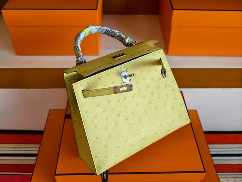 ケリー オーストリッチ 定価 HERMES ケリー25 外縫い ライム オーストリッチ シルバー金具 2627760 エルメス 新作バッグ - 画像 (4)