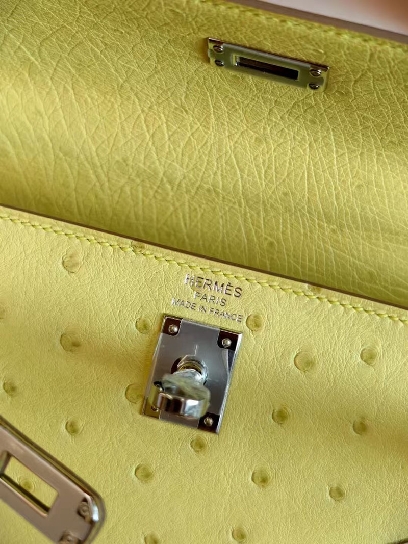 ケリー オーストリッチ 定価 HERMES ケリー25 外縫い ライム オーストリッチ シルバー金具 2627760 エルメス 新作バッグ - 画像 (2)
