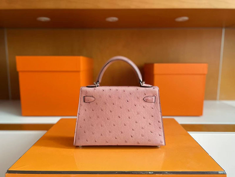 エルメス ミニケリー2 HERMES ケリーミニ2 外縫い テリキュート オーストリッチ シルバー金具 2627771 エルメス 新作バッグ - 画像 (6)