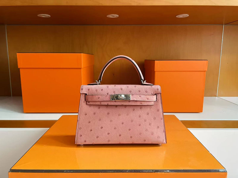 エルメス ミニケリー2 HERMES ケリーミニ2 外縫い テリキュート オーストリッチ シルバー金具 2627771 エルメス 新作バッグ - 画像 (5)