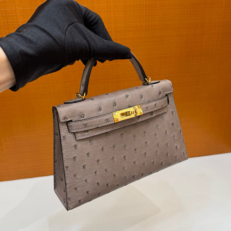 エルメス オーストリッチ 定価 HERMES ケリーミニ2 外縫い グリアスファルト オーストリッチ ゴールド金具 2627788 エルメス 新作バッグ - 画像 (11)