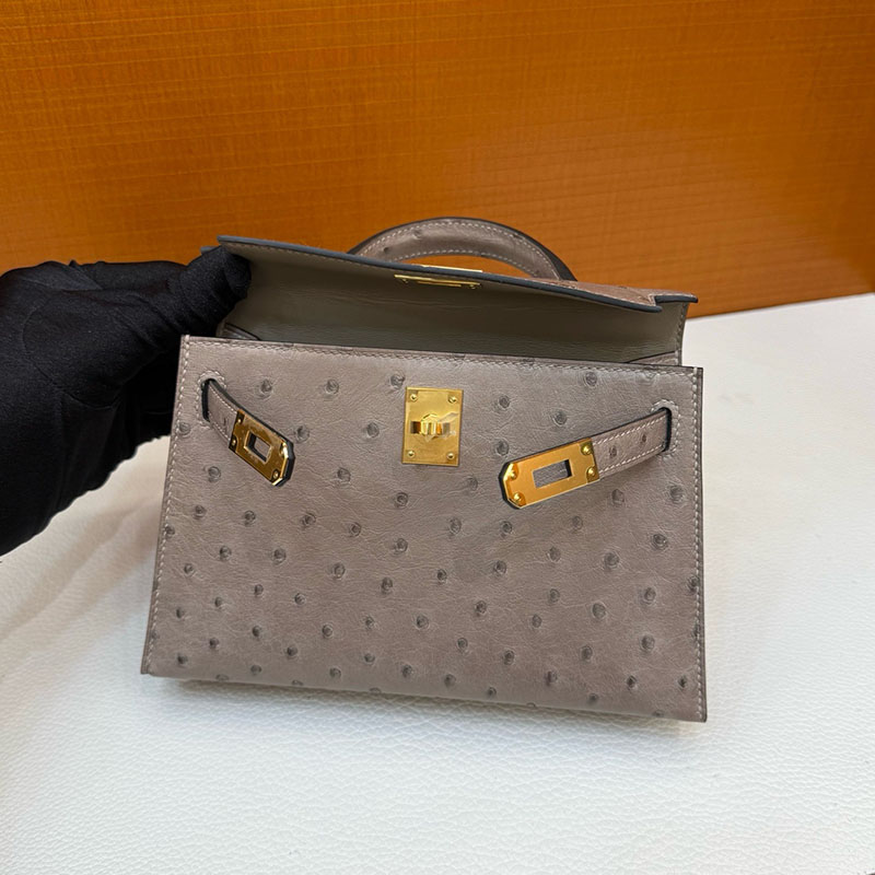 エルメス オーストリッチ 定価 HERMES ケリーミニ2 外縫い グリアスファルト オーストリッチ ゴールド金具 2627788 エルメス 新作バッグ - 画像 (9)
