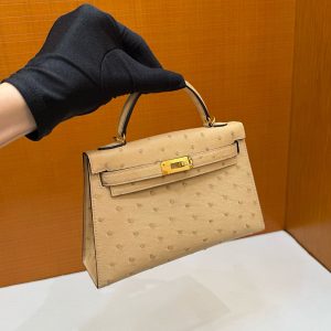エルメス オーストリッチ バッグ