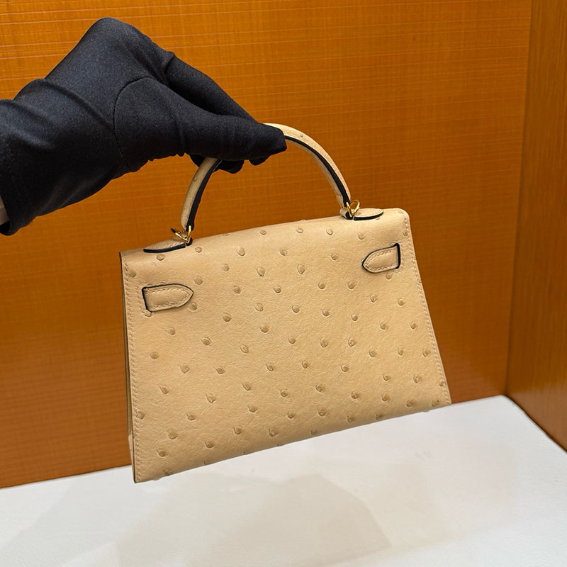 エルメス オーストリッチ バッグ HERMES ケリーミニ2 外縫い ムース オーストリッチ ゴールド金具 2627793 エルメス 新作バッグ - 画像 (3)