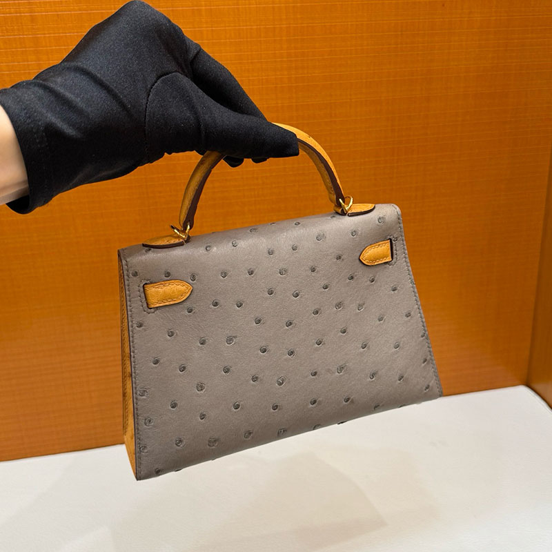 ミニケリー 定価 HERMES ケリーミニ2 外縫い トゥルティールグレー/サフラン オーストリッチ ゴールド金具 2627795 エルメス 新作バッグ - 画像 (4)