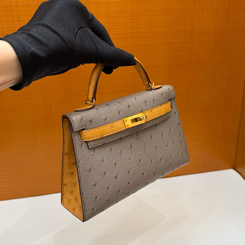 ミニケリー 定価 HERMES ケリーミニ2 外縫い トゥルティールグレー/サフラン オーストリッチ ゴールド金具 2627795 エルメス 新作バッグ - 画像 (3)