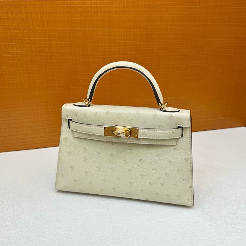 ミニケリー 値段 HERMES ケリーミニ2 外縫い パーシュマン オーストリッチ ゴールド金具 2627796 エルメス 新作バッグ - 画像 (9)
