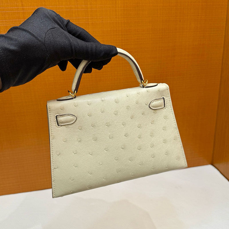 ミニケリー 値段 HERMES ケリーミニ2 外縫い パーシュマン オーストリッチ ゴールド金具 2627796 エルメス 新作バッグ - 画像 (4)