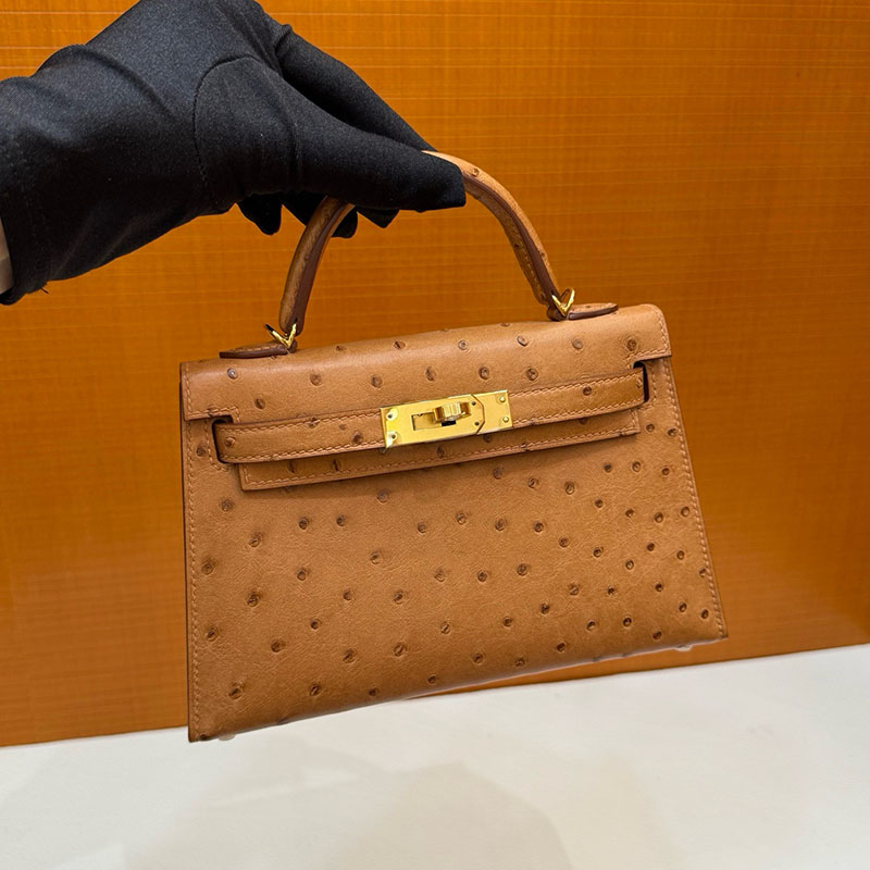 エルメス ミニケリー 定価 HERMES ケリーミニ2 外縫い ゴールド オーストリッチ ゴールド金具 2627797 エルメス 新作バッグ - 画像 (6)