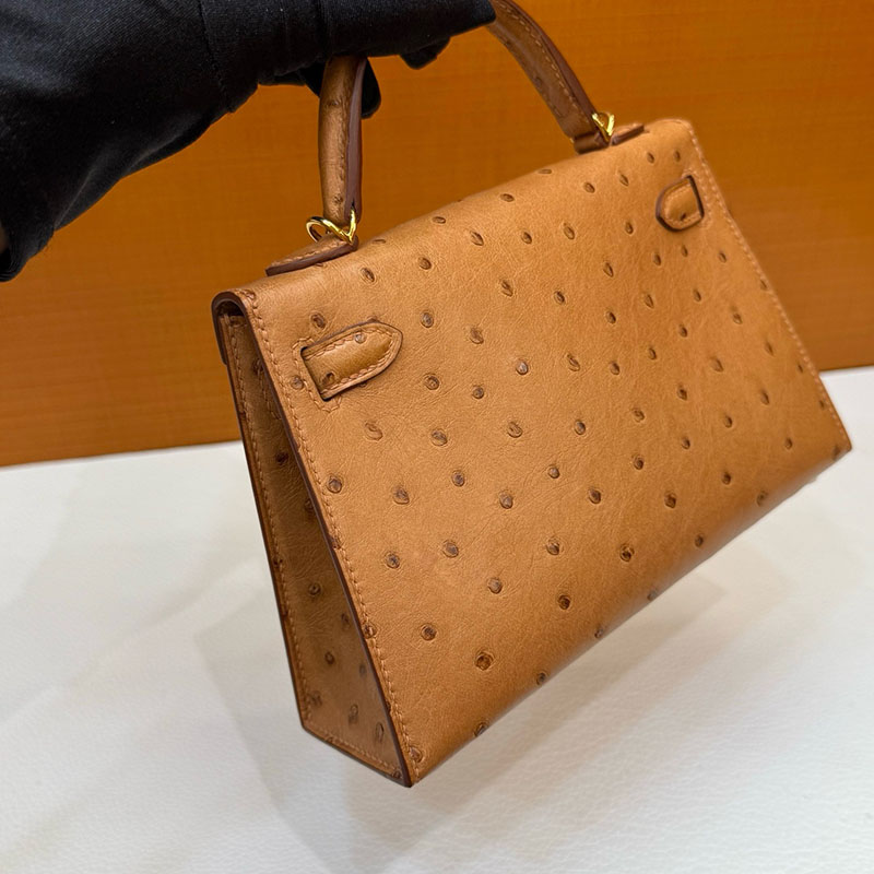 エルメス ミニケリー 定価 HERMES ケリーミニ2 外縫い ゴールド オーストリッチ ゴールド金具 2627797 エルメス 新作バッグ - 画像 (5)