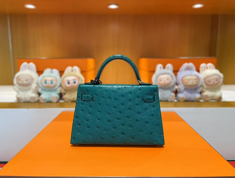 レディース ミニバッグ ブランド お手頃 HERMES ケリーミニ2 外縫い ヴェールヴェルティゴ オーストリッチ ゴールド金具 2627805 エルメス 新作バッグ - 画像 (9)